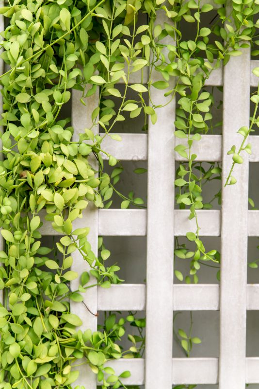 Garden Trellis Installation in Kansas City, KS
