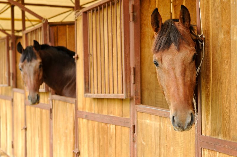 Stable Repair in Olathe, KS