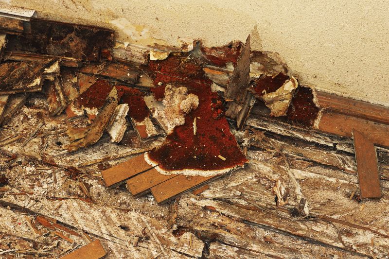 Wood Rot And Moisture Damage In Outdoor Structures