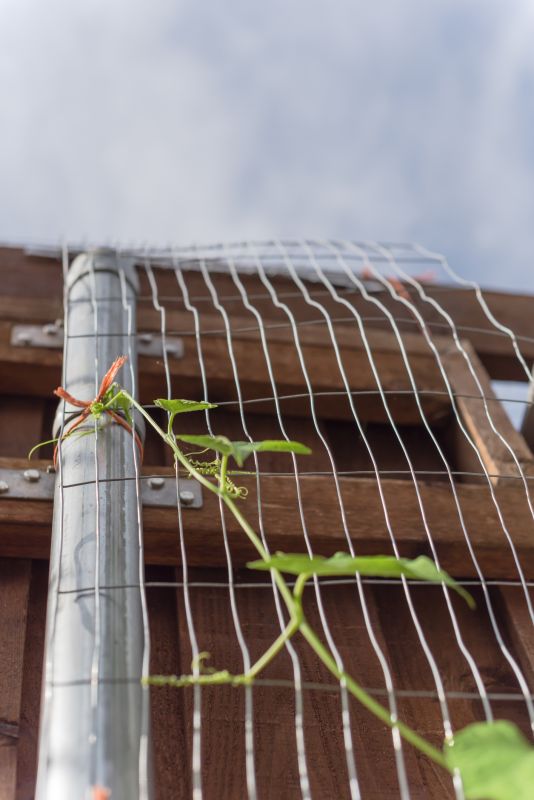 Wood Trellis Installation in Conroe, TX